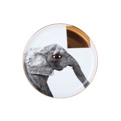 Тарелка мелкая 20 см Wild Life Elephant, Porland