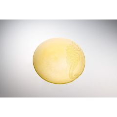 Тарелка 22 см, цвет пастельно-желтый, Sea Horse, Casa di fortuna