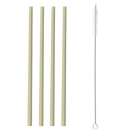 Набор из 4 соломинок из бамбука и щеточки Colour, TYPHOON