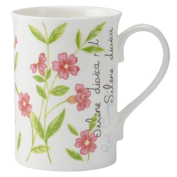 Кружка Botanic 300 мл розовая, Price&Kensington