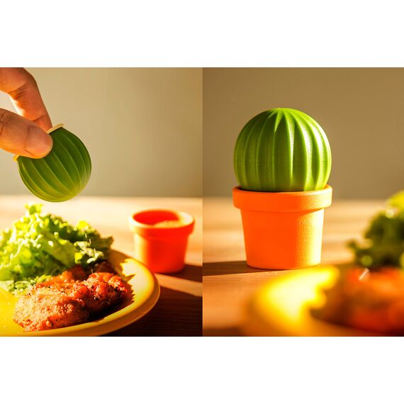 Набор для специй Cactus, Qualy, изображение 3