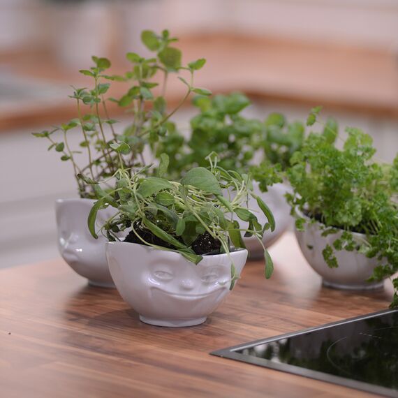 Чаша Tassen Kissing, 500 мл, белая, Tassen, изображение 3