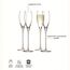 Набор бокалов для шампанского Wine, 160 мл, 4 шт., LSA International, изображение 5